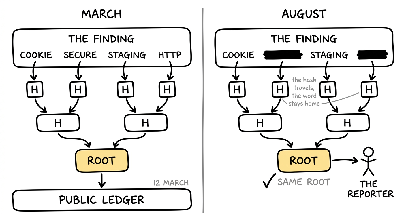 Two hand-drawn panels. March: four words feed a hash tree whose root lands on a public ledger. August: two words are blacked out, their hashes travel instead, and the same root comes out for the reporter.